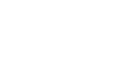Service Processes - Anodics, Inc.